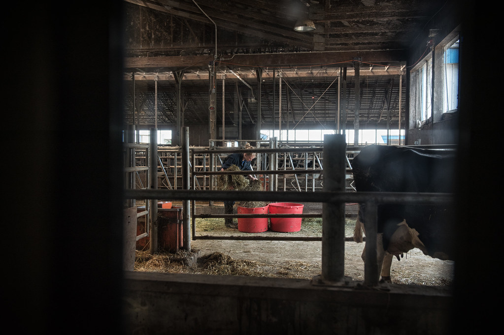 UBC Dairy Education and Research Centre in Agassiz Flickr