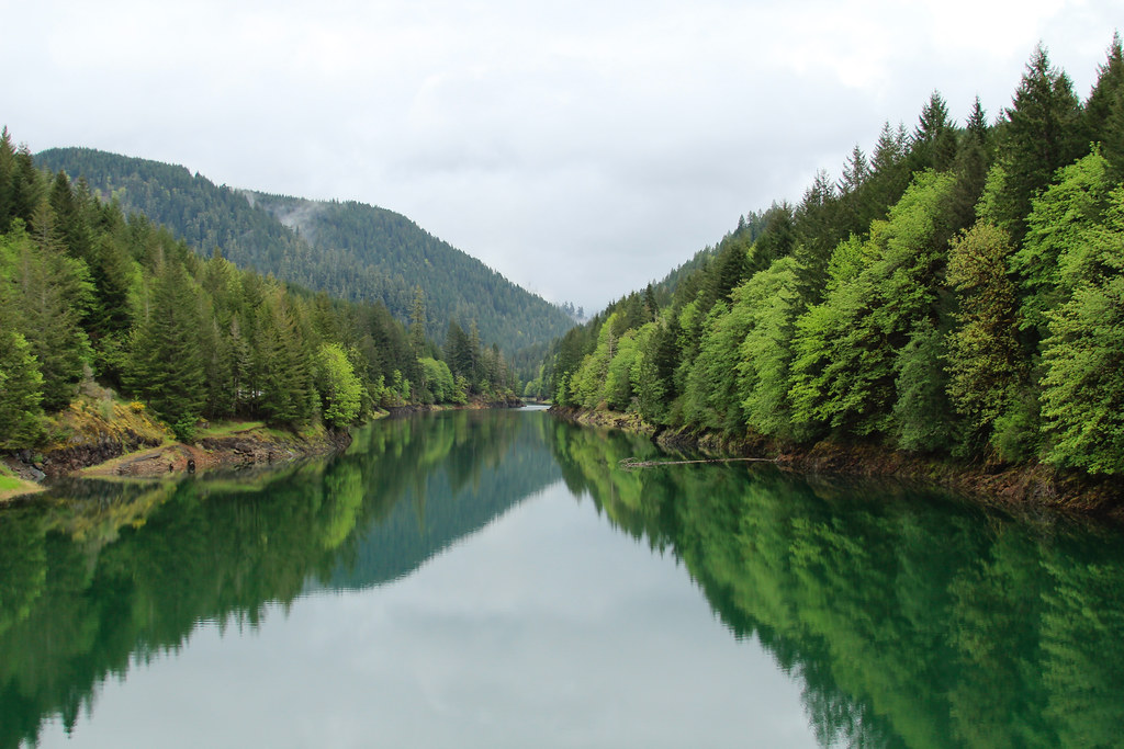 Green Peter Lake, Oregon Green water lake, green trees and… Flickr