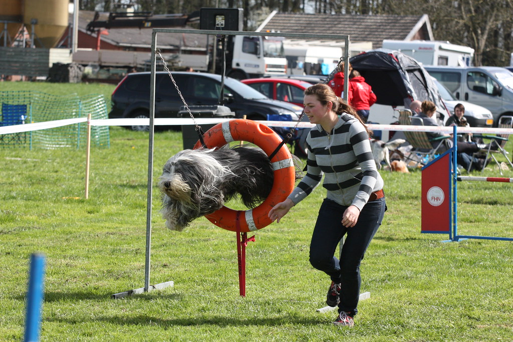20110410105503 Dog agility competition held at the Agili… Flickr