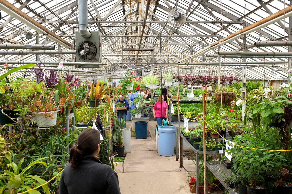 Plant Sale Picture a week 2011 Week 17 A new week, a new … Flickr