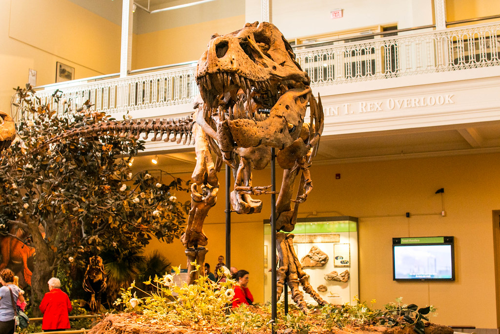 Web with a minor in museum studies, you may find work in a variety of settings, including: IMG_1791.jpg CMU museum Lee Flickr