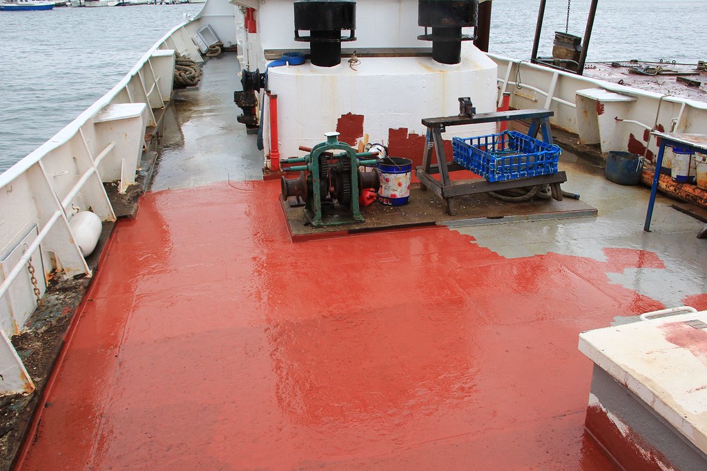 Deck paint It rained just after I finished painting! Tim Zim Flickr