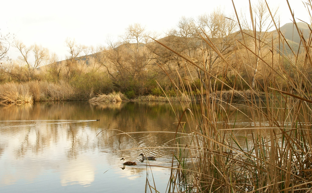 Kumeyaay Lake in Mission Trails This photo was taken along… Flickr