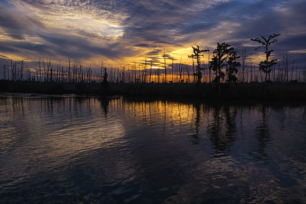 Elevation of Grand Caillou Rd, Houma, LA, USA Topographic Map