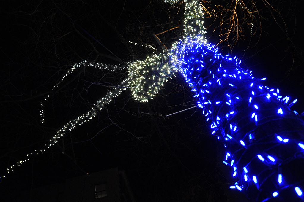 Sweet Black Angel Robert Nighthawk, blues, blue lights b… Flickr