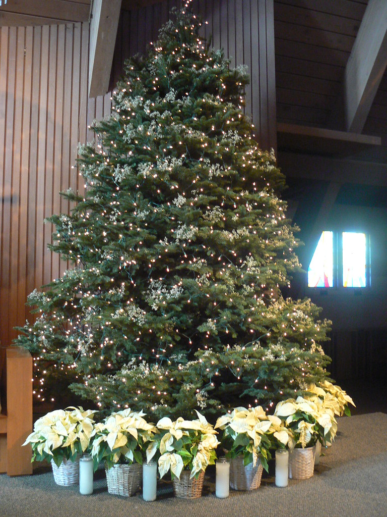 Christmas tree with Baby's Breath St. Martin of Tours Flickr