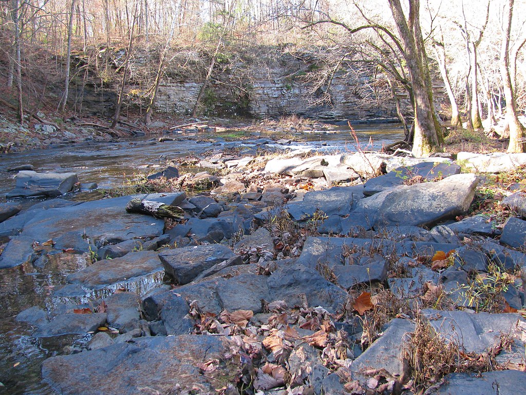 Locust Fork Alabama Rainbow Family Thanksgiving Campout No… Flickr