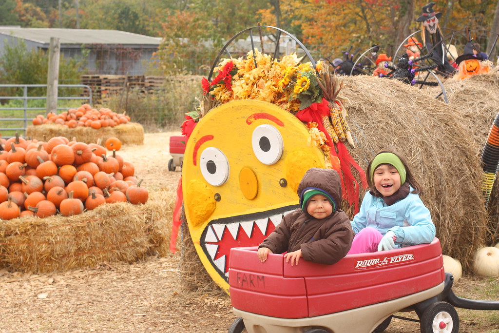Apple Picking Silverman's Farm, Easton, CT plien Flickr