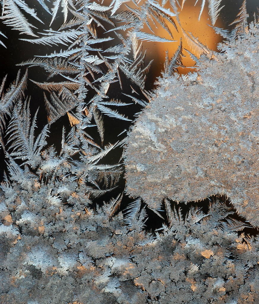 frost on storm window 15 F this AM. Milton, MA 12/17/10 Flickr