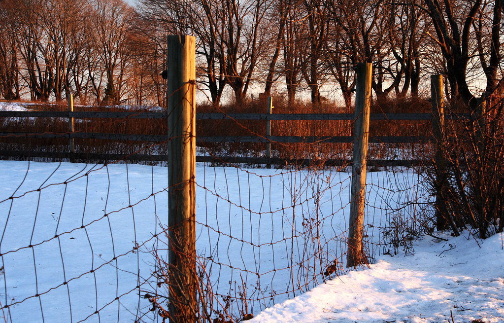 Corral At Riverhurst Farm near Parson's Beach S Downing Flickr