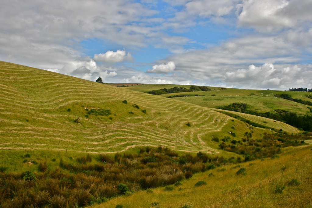 Elevation of Milton, New Zealand Topographic Map Altitude Map