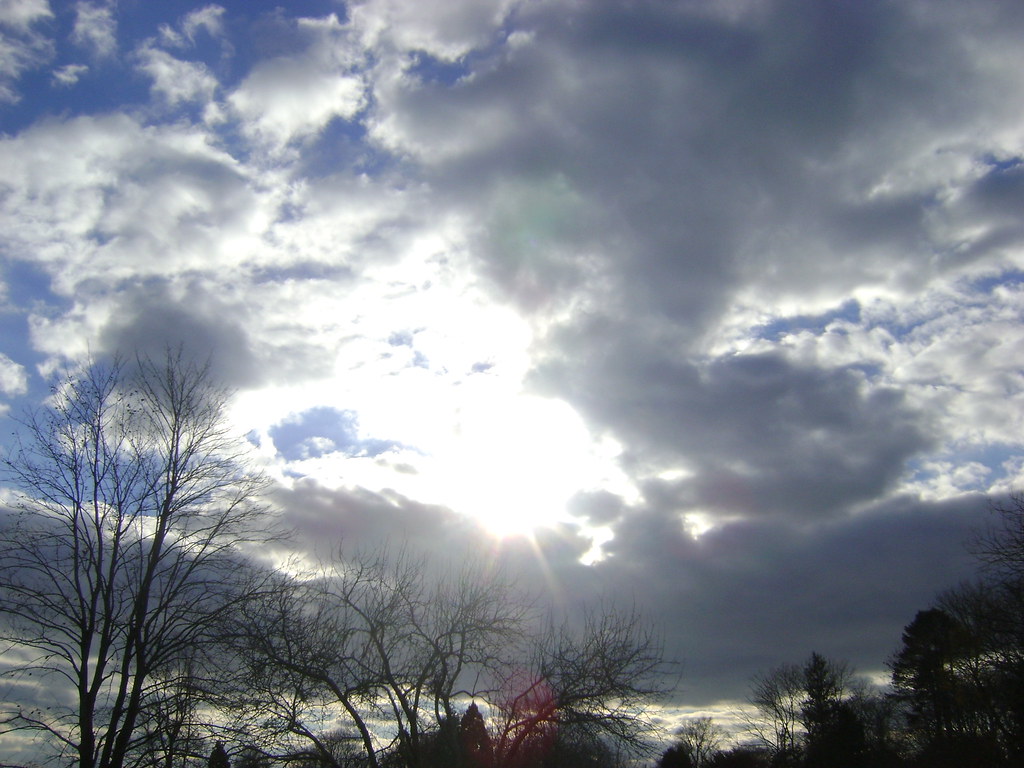 East Hampton Nov. 2010 & Misc 024 mariewlsh Flickr