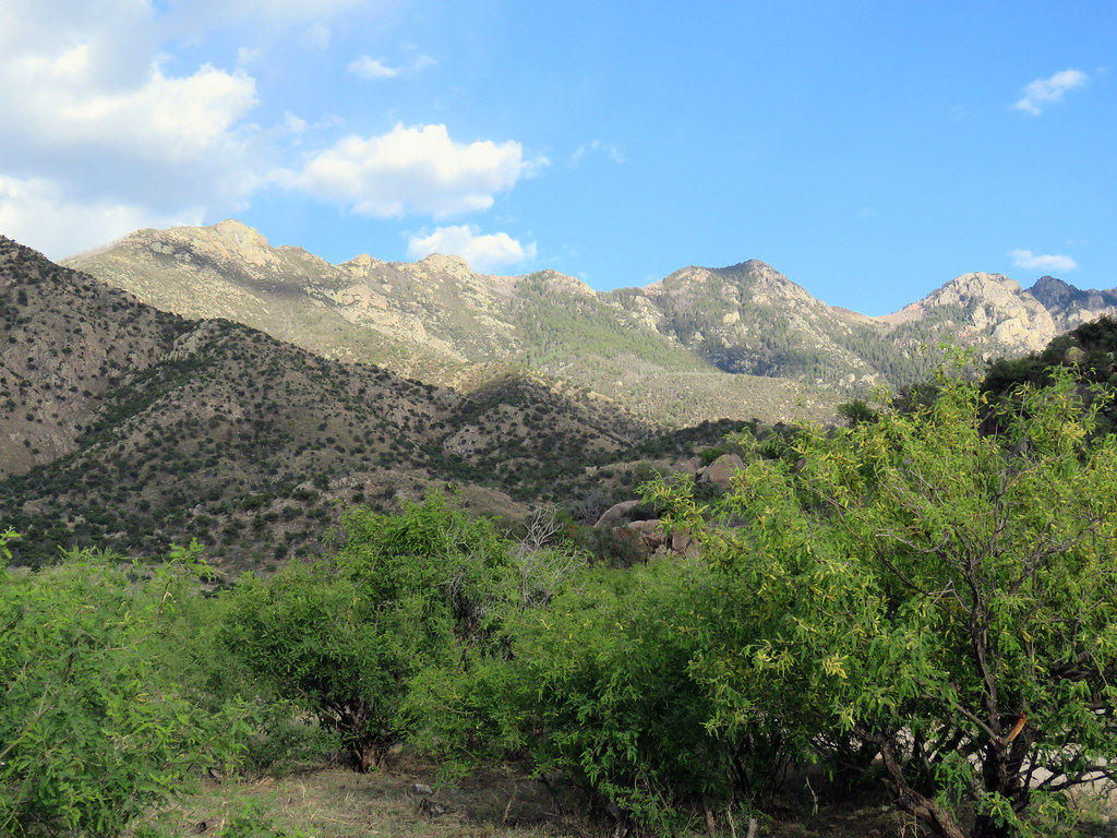 Campsite View (Madera Canyon) View from the Proctor Road d… Flickr