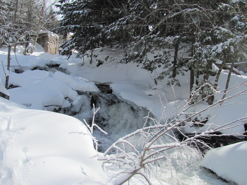 IMG_0699 "Snowshoeing in Gatineau Park" Leonardo Kerner Flickr