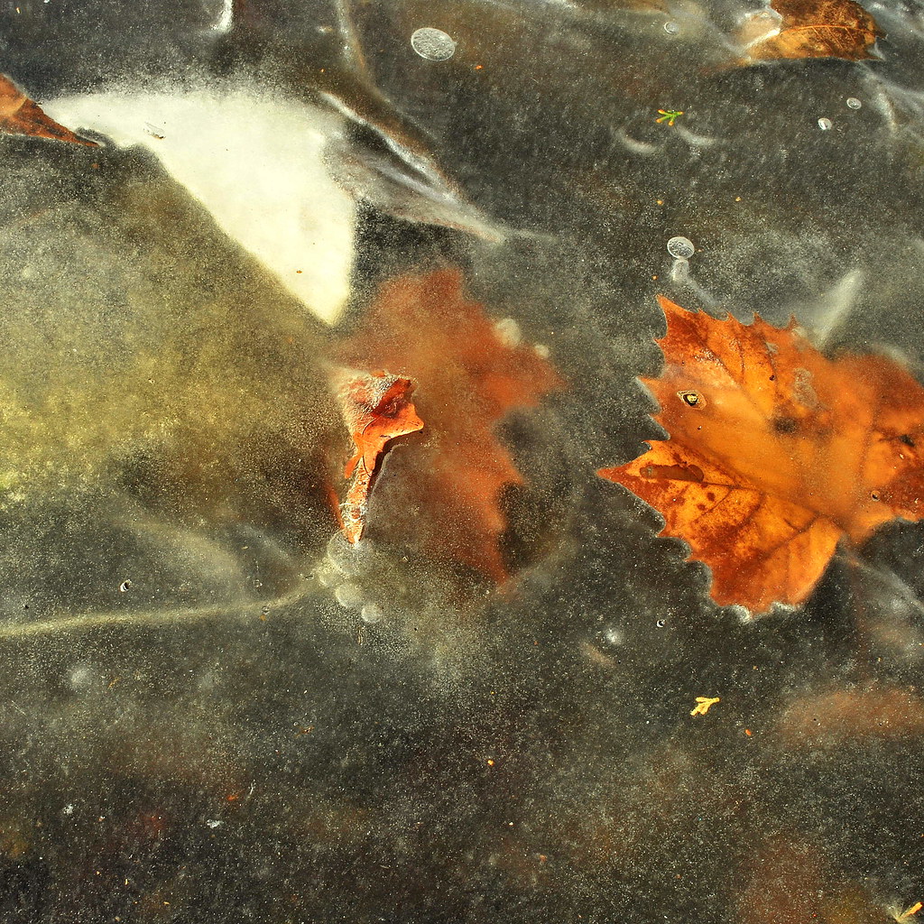 A3WeatherMarissa Benavides003 Danger/Beauty, although I… Flickr