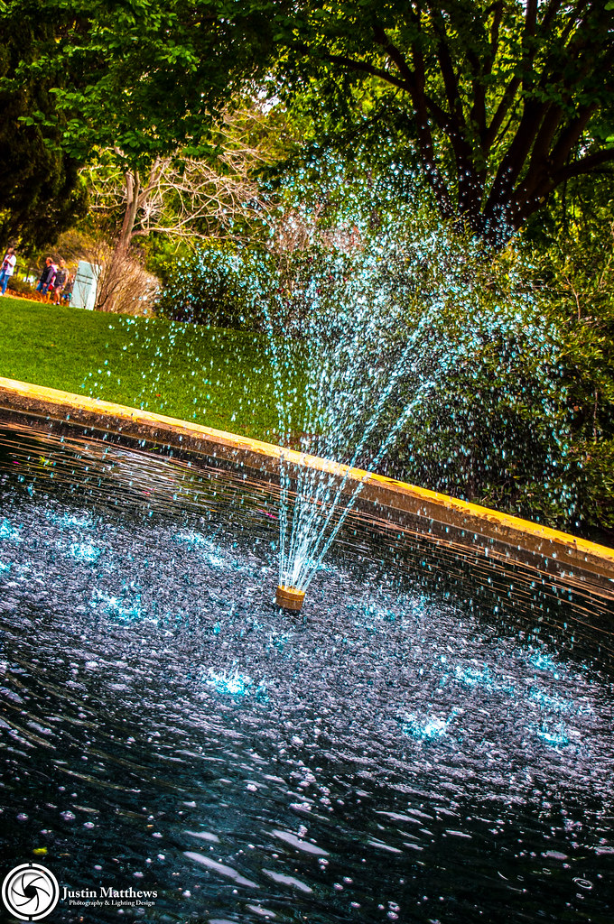 2016 Carnival of Flowers Queens Park Queens Park Botanic… Flickr