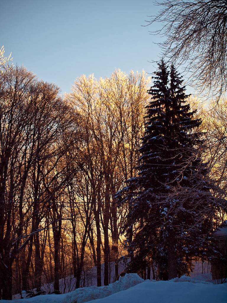 Icy Luminance Pascoag, RI February 2011 j. edward ferguson Flickr