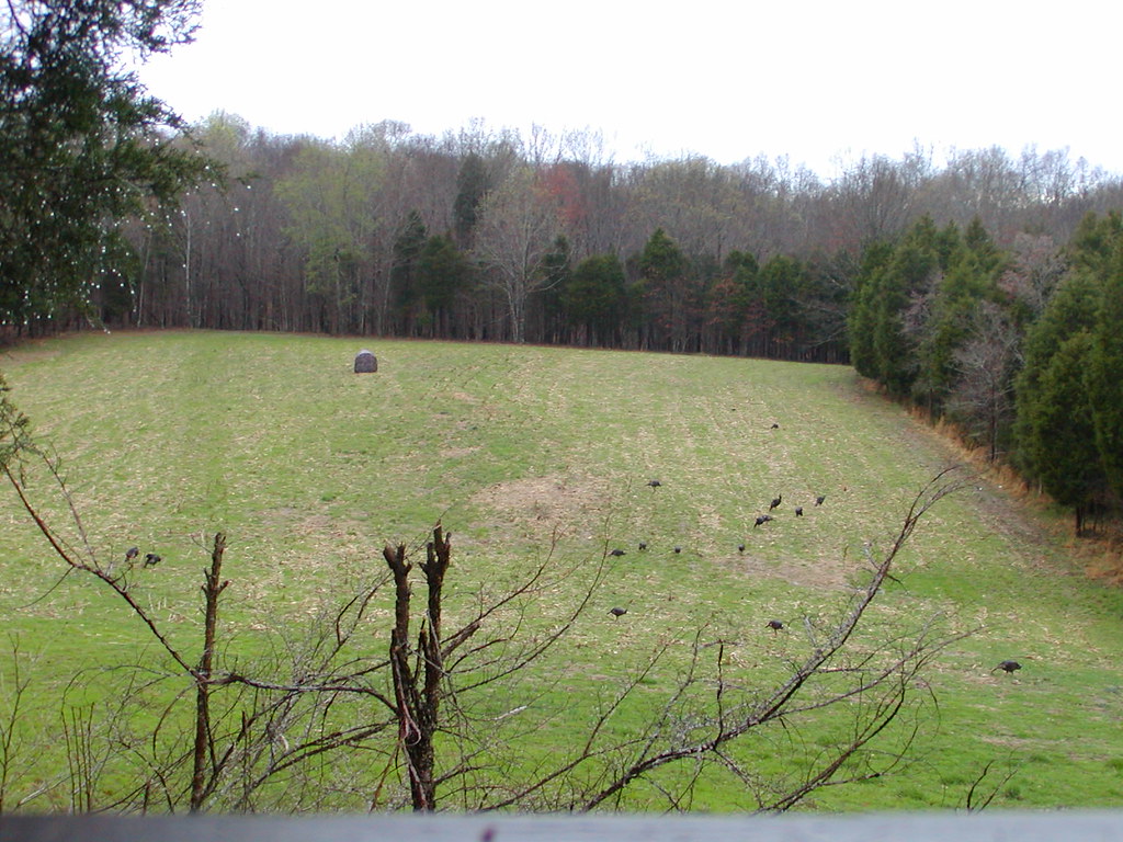 turkey11 Yellow Creek Outfitters Flickr