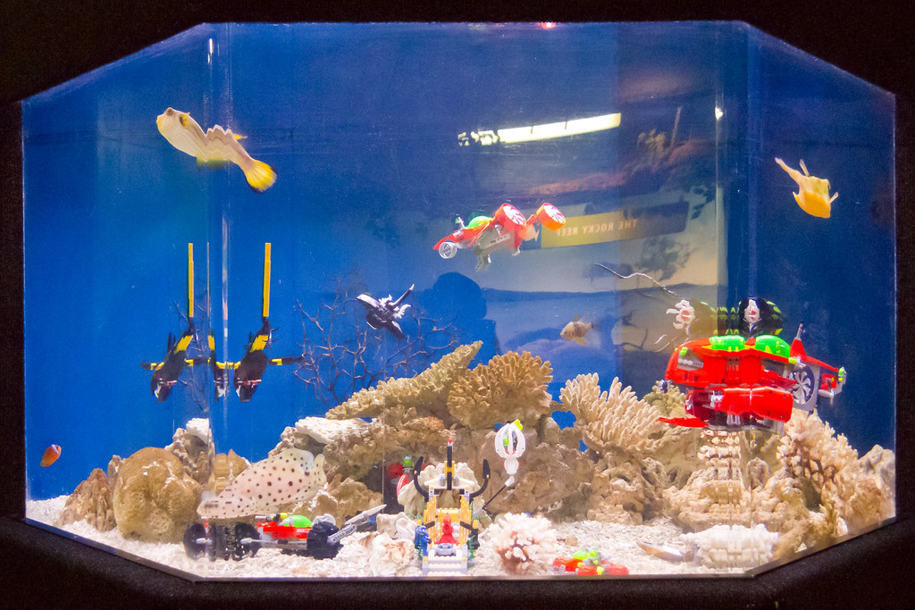 New Zealand Auckland Aquarium Fish tank with weird leg… Flickr