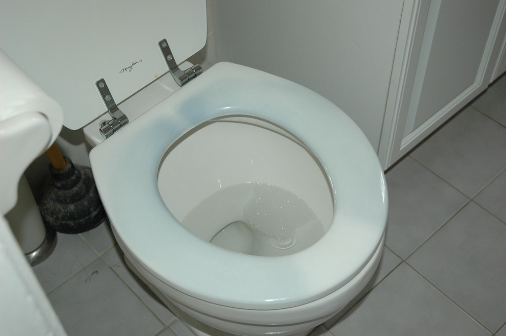 blue toilet... Somehow, someone last night at the party tu… Flickr