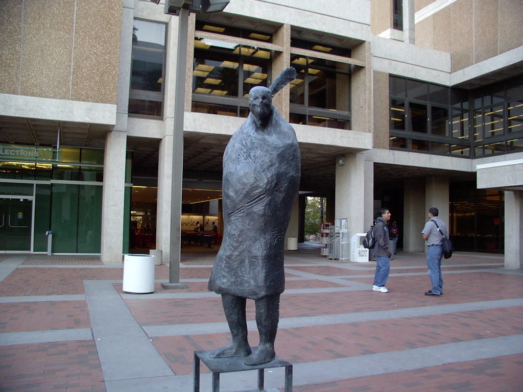 In front of the University of Arizona Main Library David Flickr