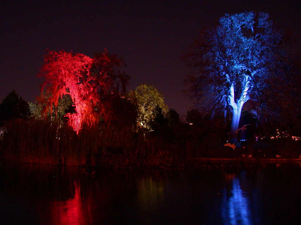 Festival of Lights Houston, Texas Festival of Lights D… Flickr