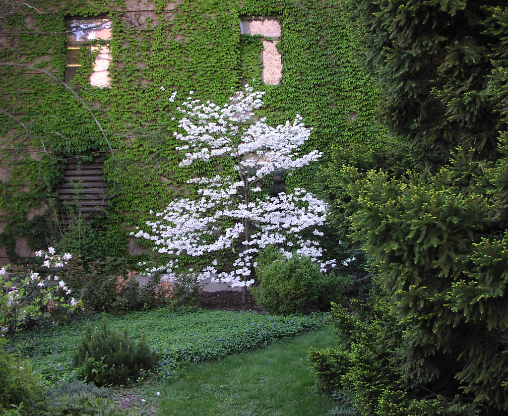 Plant Science Building Cornell A secluded spot in a corn… Flickr