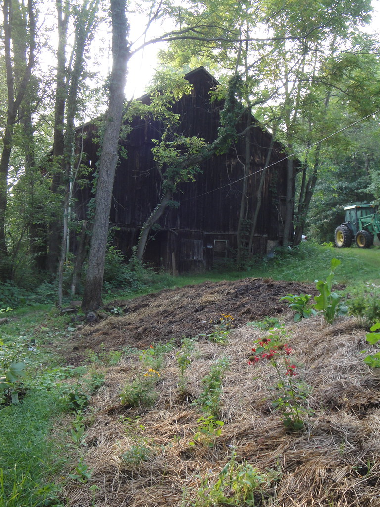 MulchFinished Wild Meadows Farm Flickr