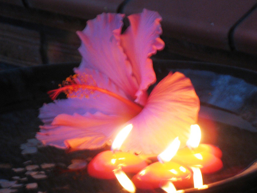 Hibiscus & floating candles Vintagekat Flickr