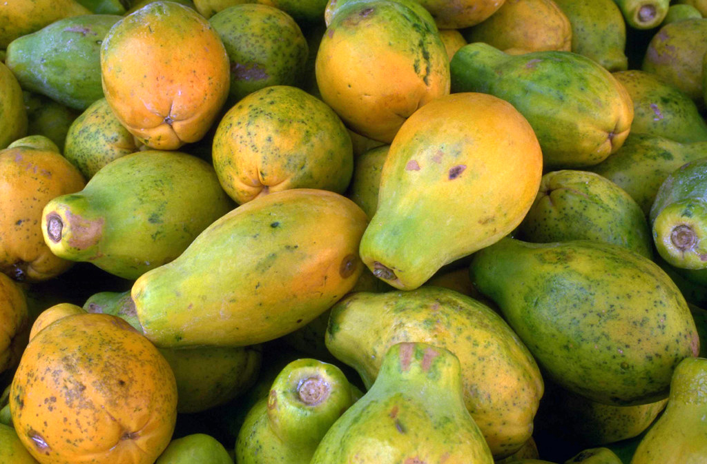Hawaiian Papayas Hawaiian Papayas (Carica papaya) Daveidaho Flickr