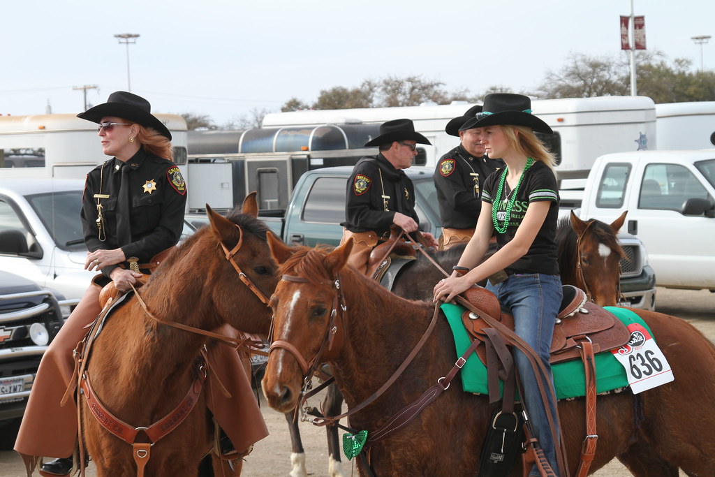RM Performance Horses Texas A week spent with Maddy and … Flickr