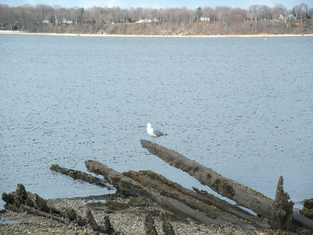 Prices Bend Beach Eatons Neck, Long Island, New York Flickr