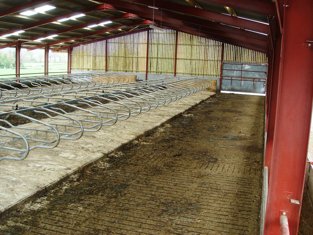 North Wales UK 104 cow slatted cow house This is a 2010 … Flickr