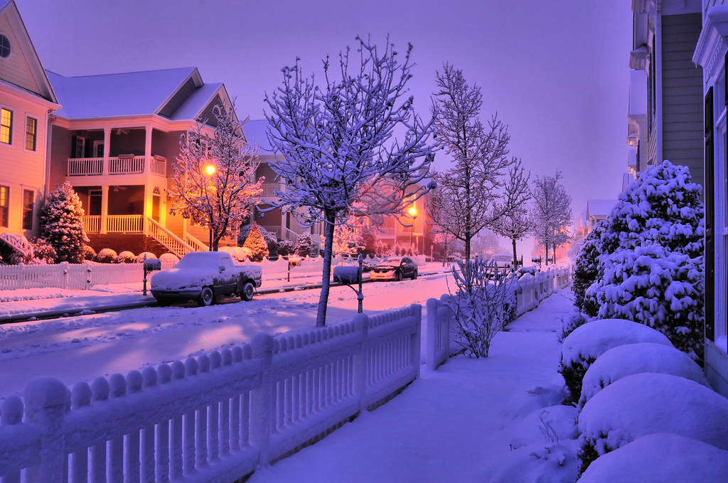 Snow in my yard Cary, NC Camera Nikon D5000 Lens Sigma… Flickr