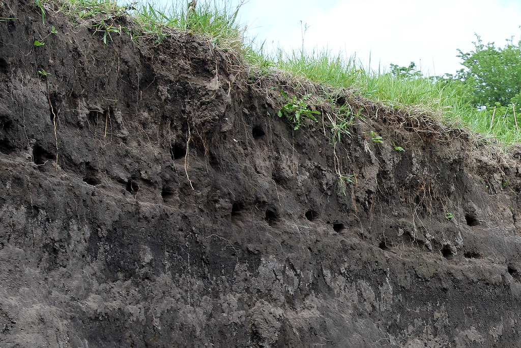 Swallow Holes Swallow Holes Flickr