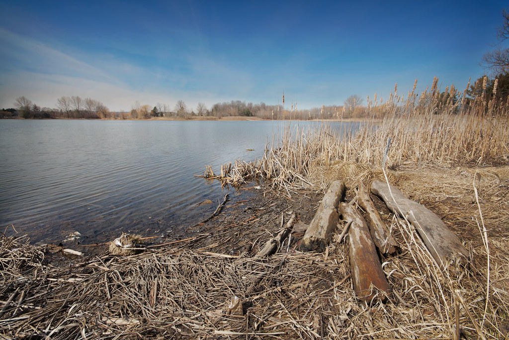 Awakening Columbia Lake up by our place is finally awakeni… Flickr