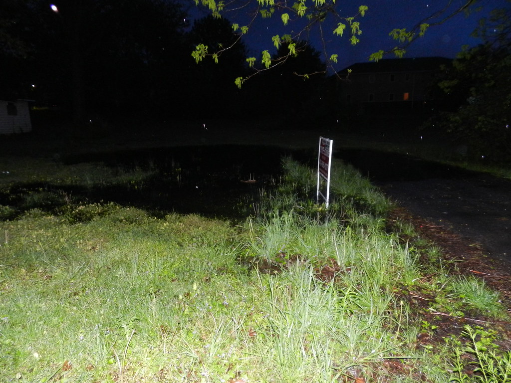 DSCN1496 Wetland for sale S. Willow Ave at MLKJr Blvd (6th… Flickr