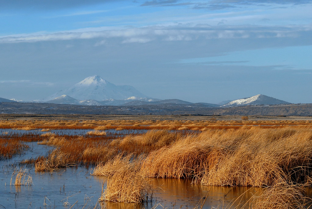Tule Lake Lower Marsh and Mount Shasta USFWS Pacific Southwest Region Flickr