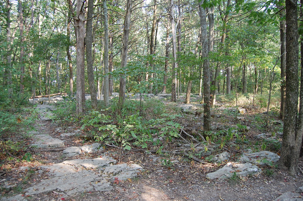 The Slaughter Pen Stones River National Battlefield Greg Peterson
