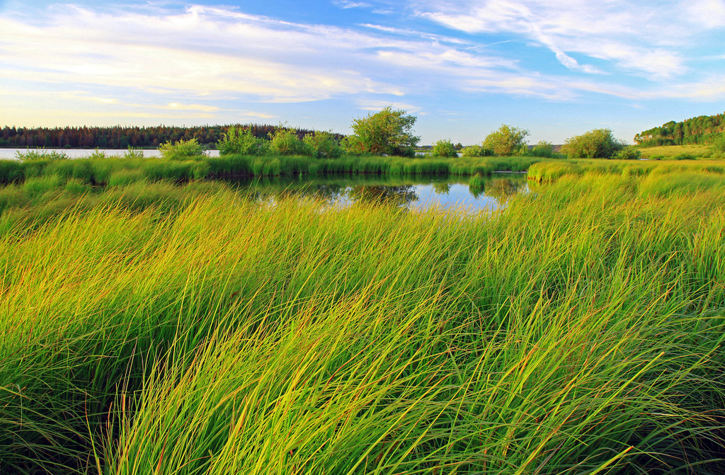Near Lake Owen WY Ron Harper Flickr