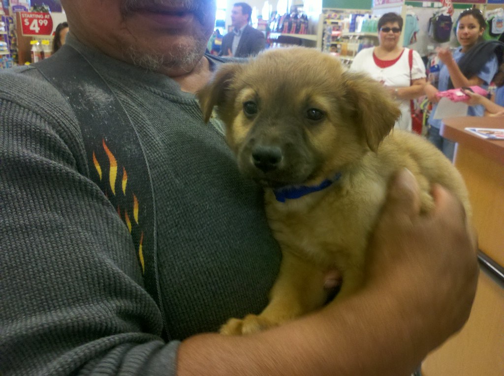 PetSmart Charities® Enhanced Adoption Center Grand Opening… Flickr