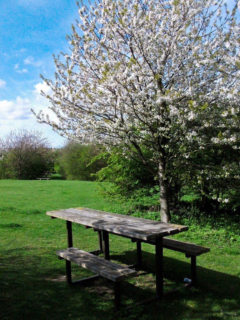 Picnic area Picnic area at Riverside Country Park. Bap and Furo