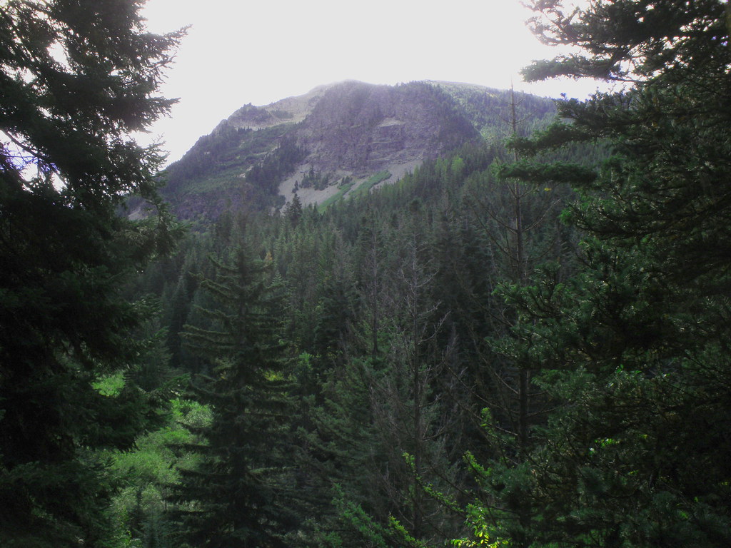 P9280440 Trail to top of Mt. Baldy, Goose Prairie, Wa.. N … Flickr
