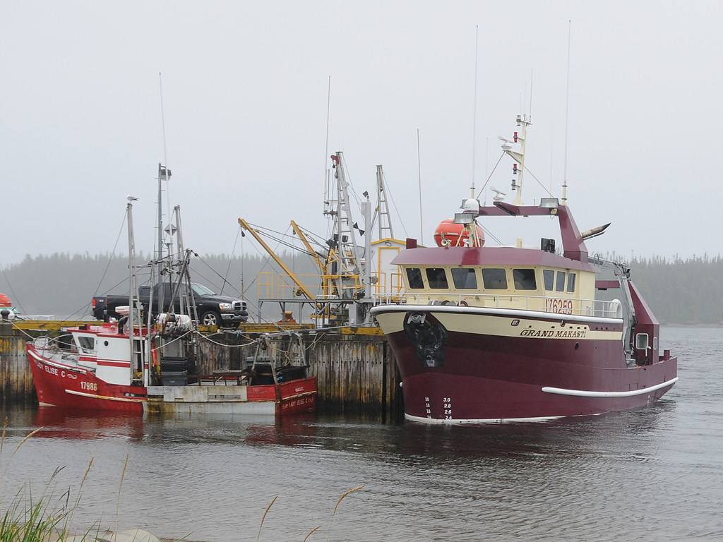 Lady Elise & Grand Makasti LonguePointedeMingan DSC_2… Flickr