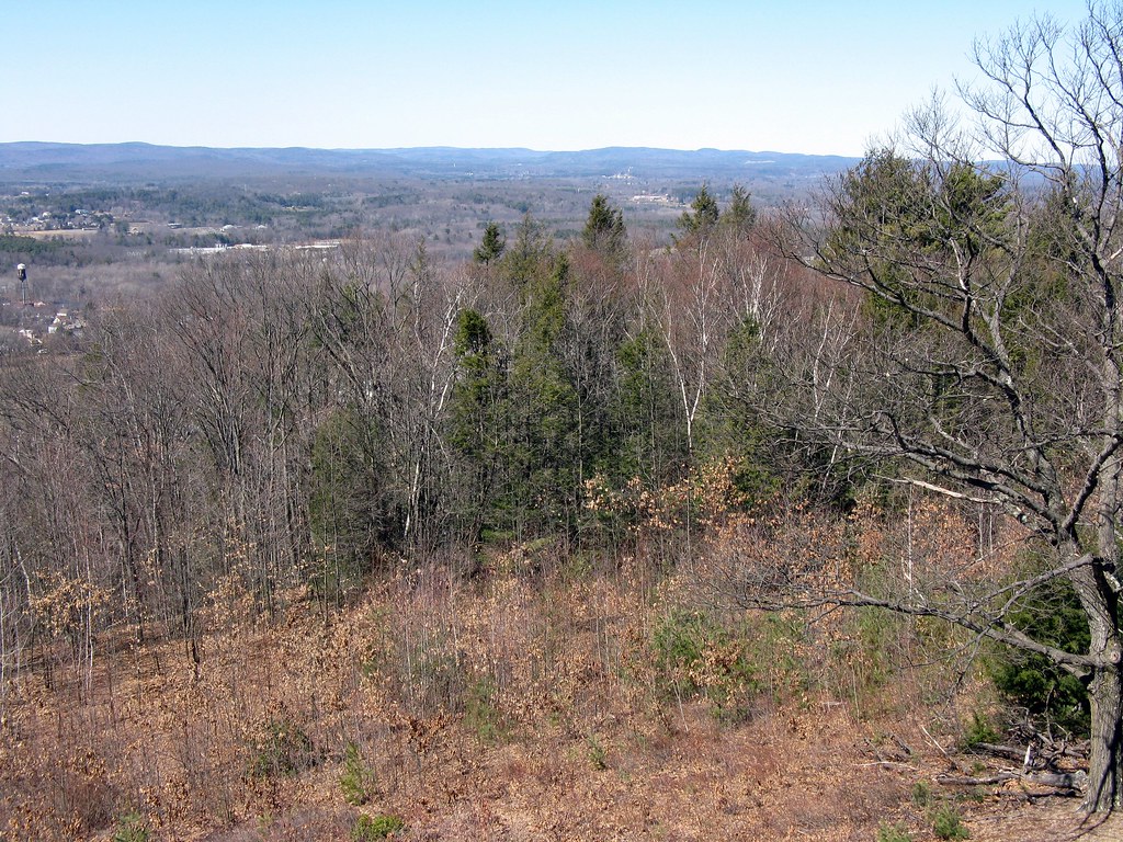 Mount Tom State Reservation bendystraw Flickr