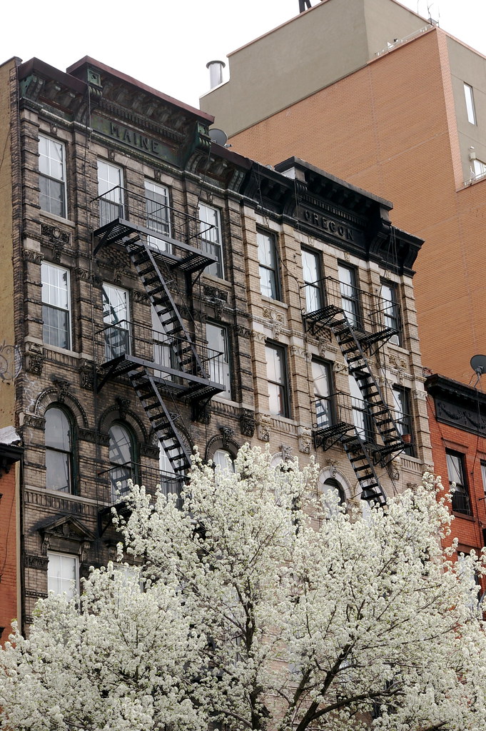 New York in bloom gaelx Flickr