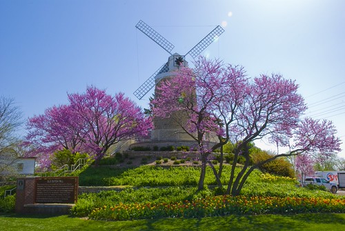 tulip festival wamego kansas 2023 Wamego, KS Tulip Festival Old Dutch Mill in Kansas Flickr