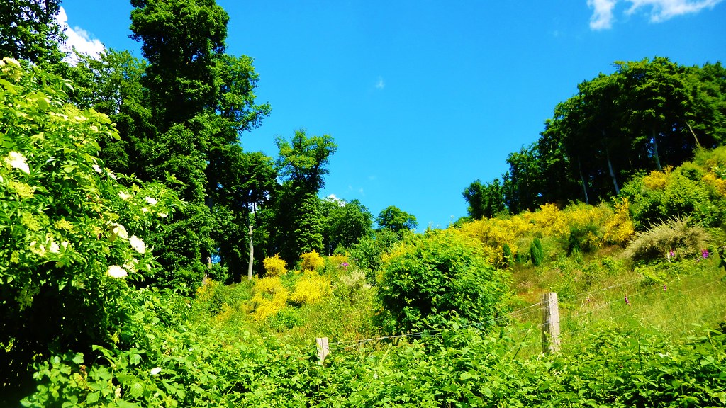 Sunny Summer Hill ObsCure Atmosphere Flickr