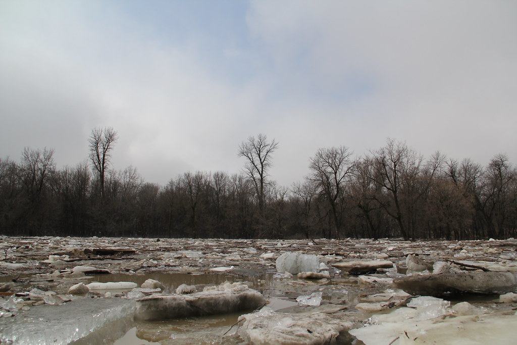 Overland flooding in East Selkirk Trina Gallop Flickr
