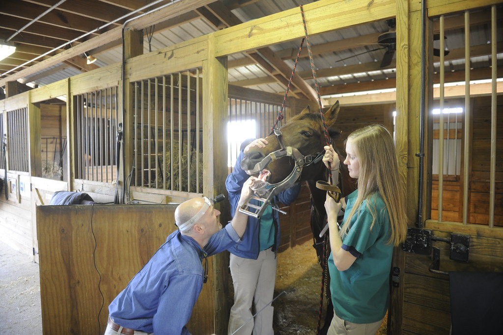 20110224, Dr Fred Caldwell, Auburn Veterinarian magazine, … Flickr